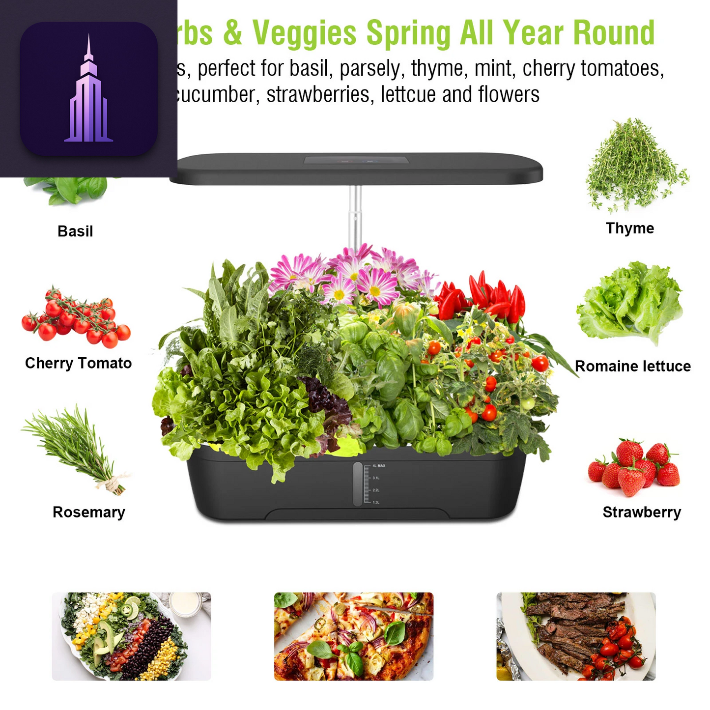 12-Hole Hydroponic Growing Kit