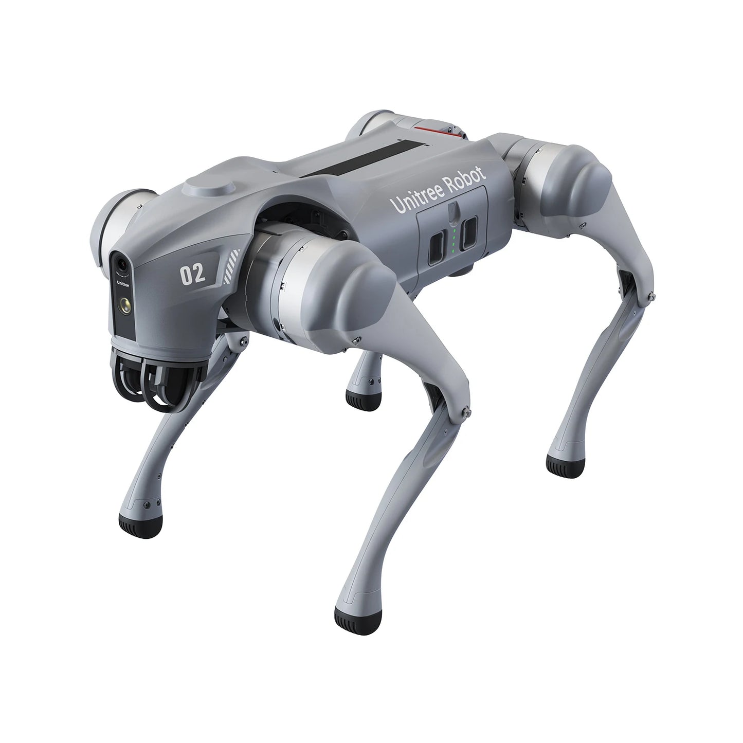 Robot Dog — The Luxury of Intelligence in Motion