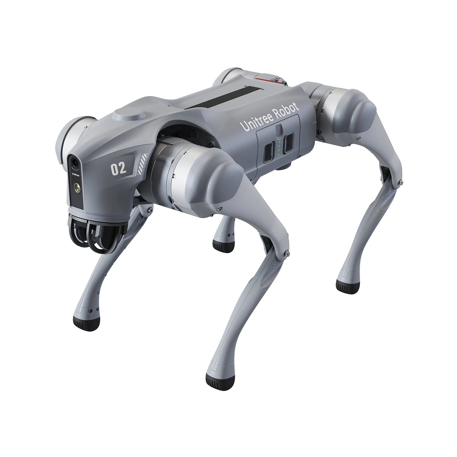 Robot Dog — The Luxury of Intelligence in Motion
