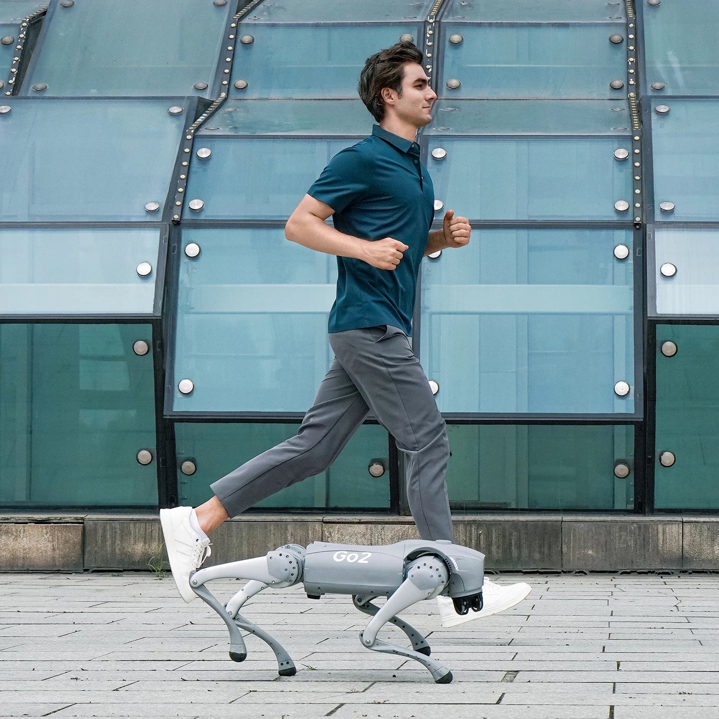Robot Dog — The Luxury of Intelligence in Motion
