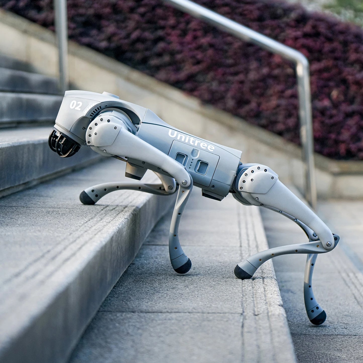 Robot Dog — The Luxury of Intelligence in Motion