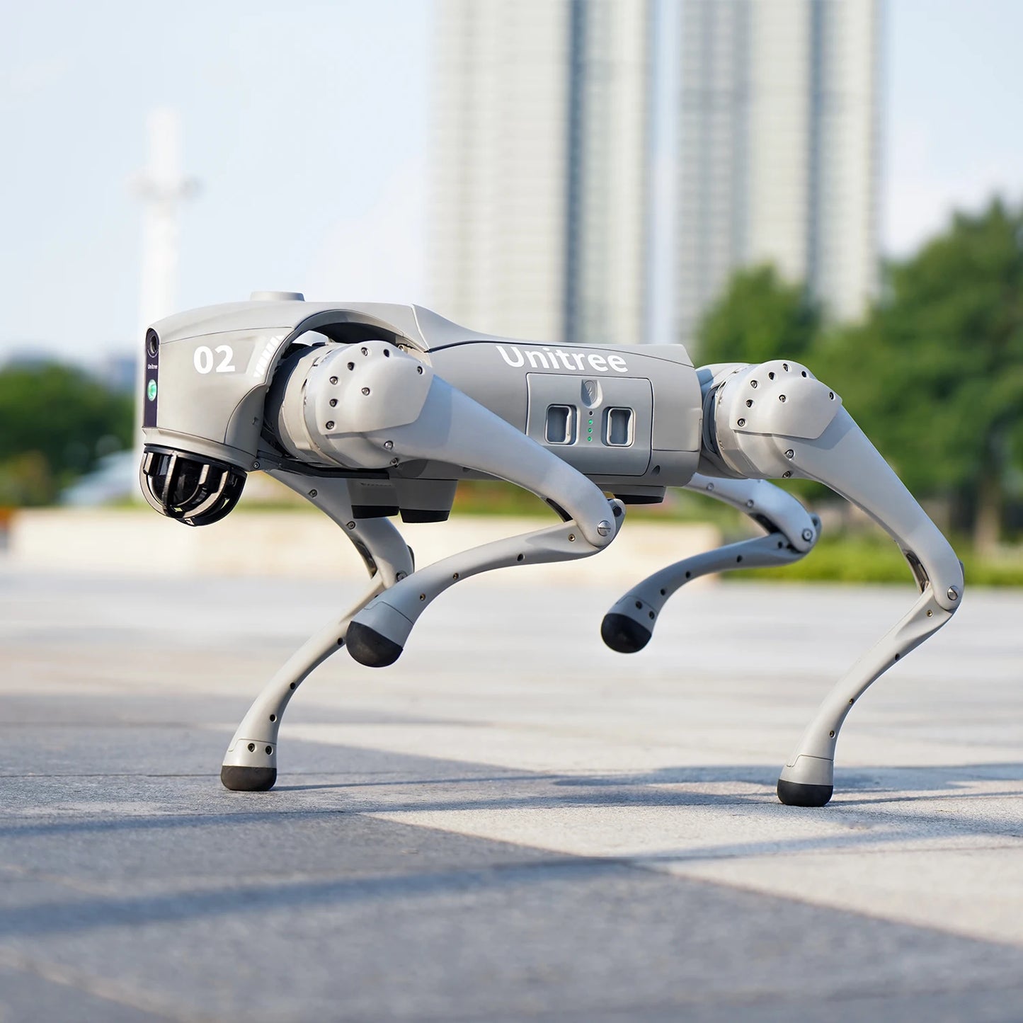 Robot Dog — The Luxury of Intelligence in Motion