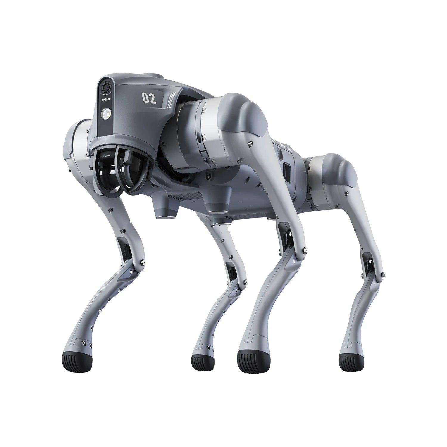 Robot Dog — The Luxury of Intelligence in Motion