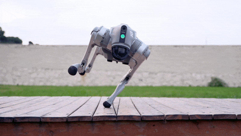 Robot Dog — The Luxury of Intelligence in Motion+ Gifts