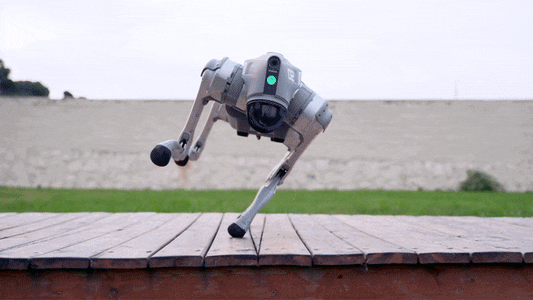 Robot Dog — The Luxury of Intelligence in Motion+ Gifts