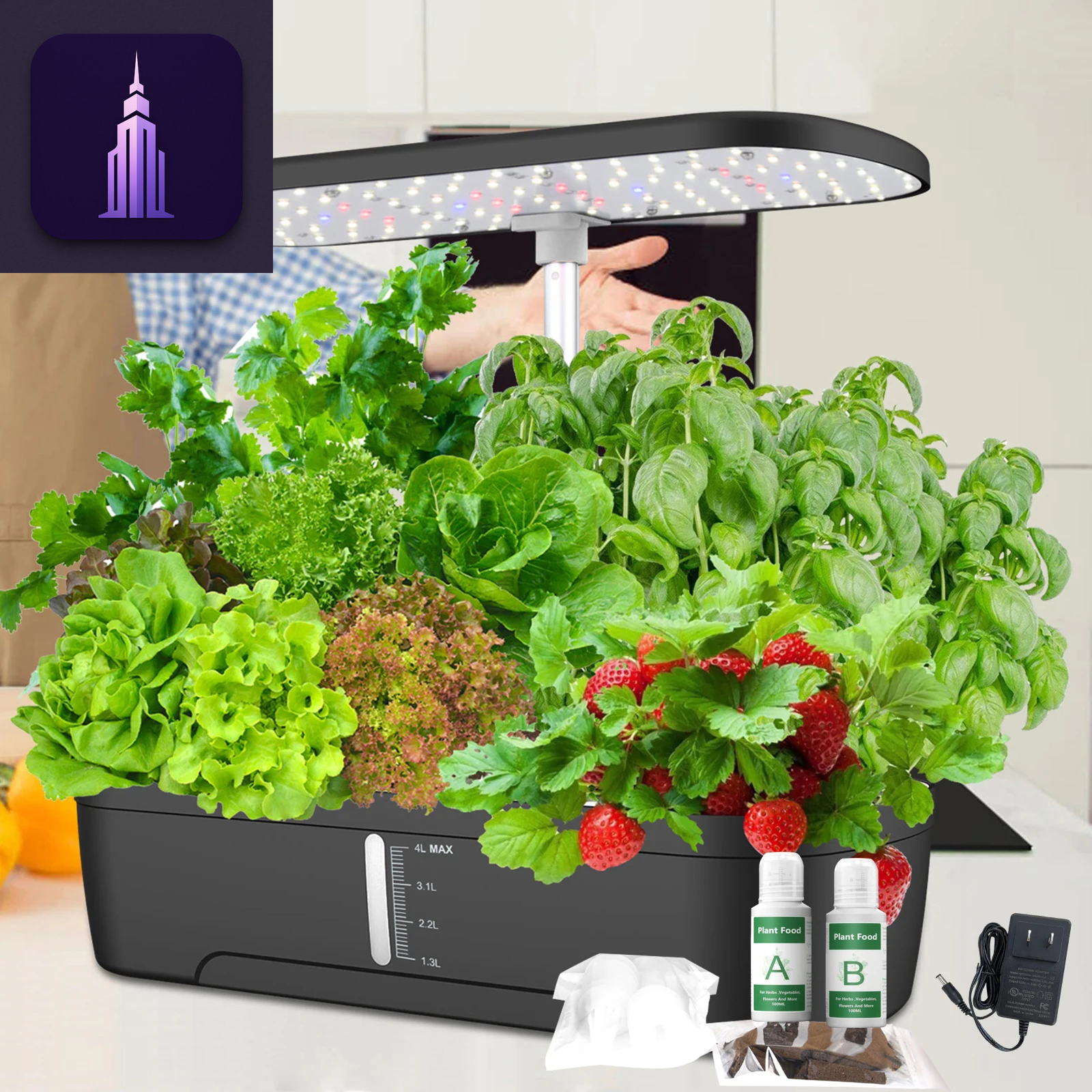 12-Hole Hydroponic Growing Kit