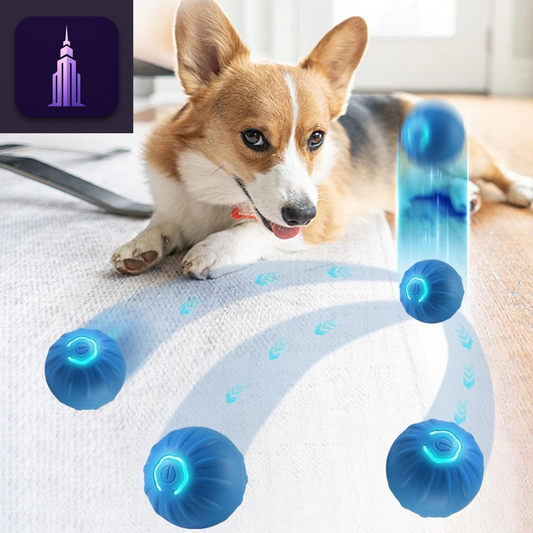 Automatic Bouncing Dog Ball