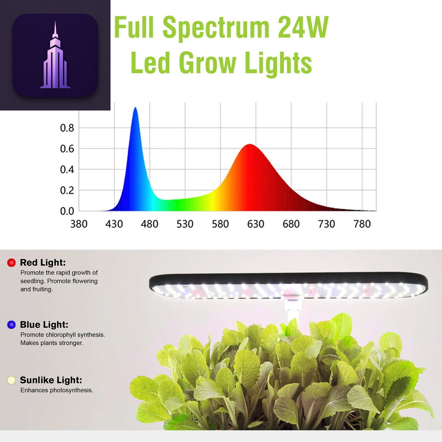 12-Hole Hydroponic Growing Kit
